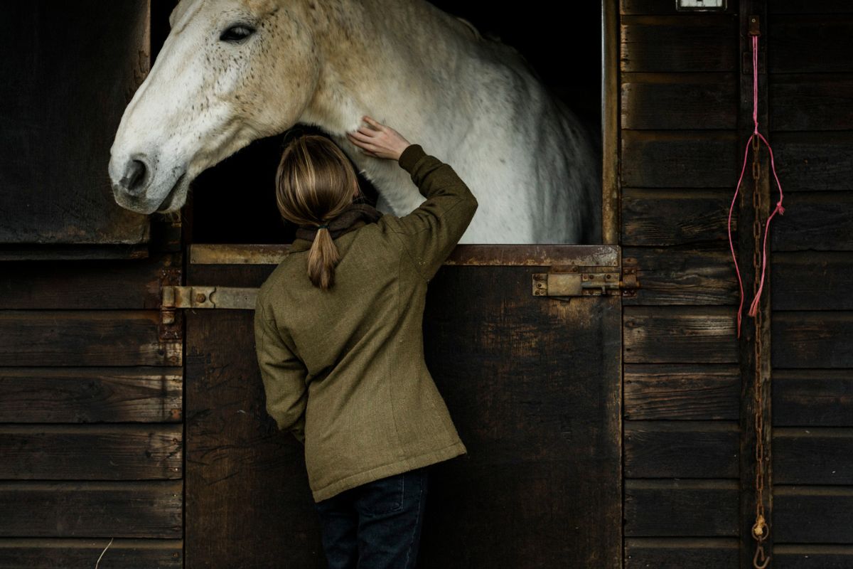 Box rest for horses | Tips and advice – Hilton Herbs