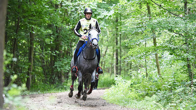 [Conseils de pro] Endurance, le secret du galop