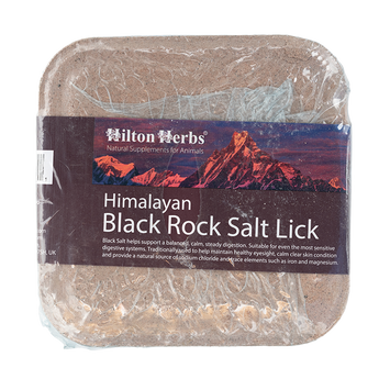 Black Himalayan Salt Lick