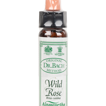 Wild Rose