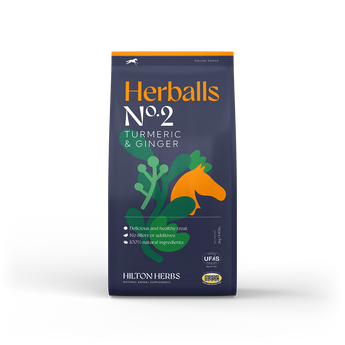 Herballs N°. 2 Turmeric & Ginger