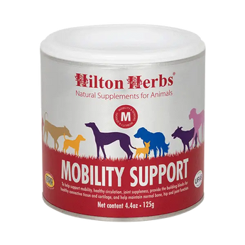 Mobility Support