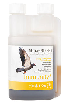 Immunity Plus