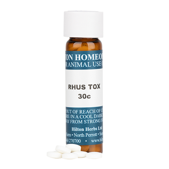 Rhus Tox - 30c