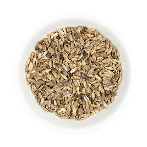 Milk Thistle seed whole in dish