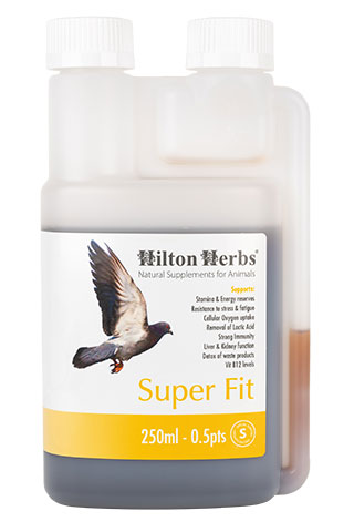 Super-Fit - Energy booster for Racing Pigeons - 250ml bottle