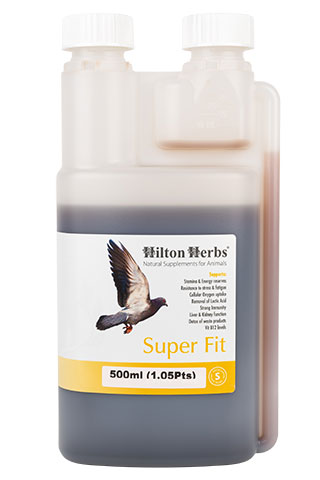 Super-Fit - Energy booster for Racing Pigeons - 500ml bottle