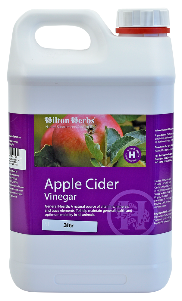 Apple Cider Vinegar - 6.3pt Bottle