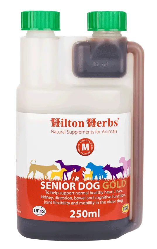 Senior Dog Gold - 250ml bottle with best seller rosette